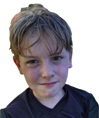 Wout MAES