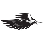 Lapwings logo