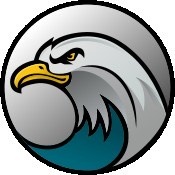 Flying Eagles logo